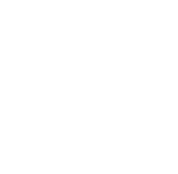 footer logo2